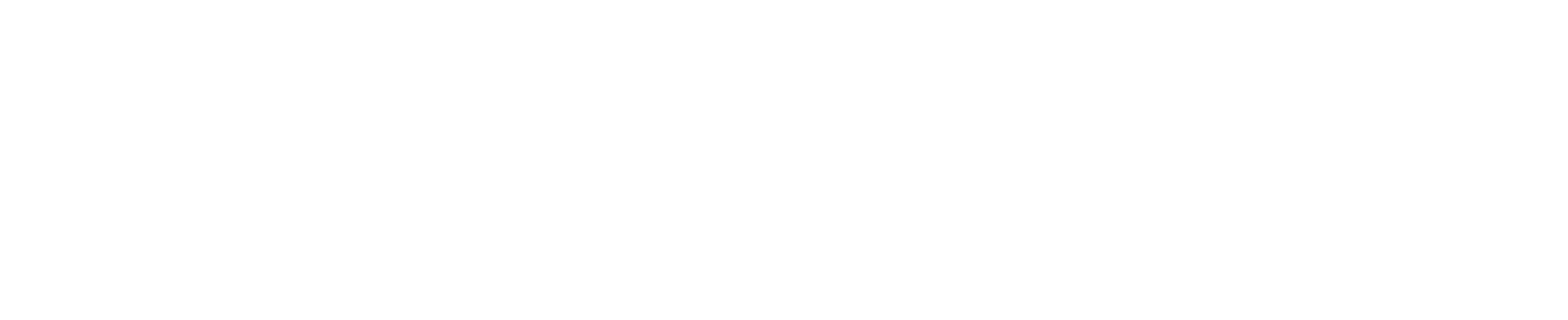 Holistic